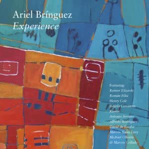 Ariel Brínguez Experience
