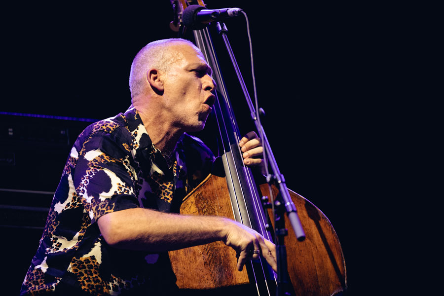 Avishai Cohen - Iroko Noches del Botanico - Foto Darío Bravo