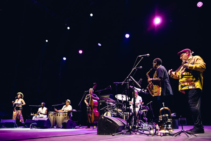 Iroko Noches del Botanico - Foto Darío Bravo