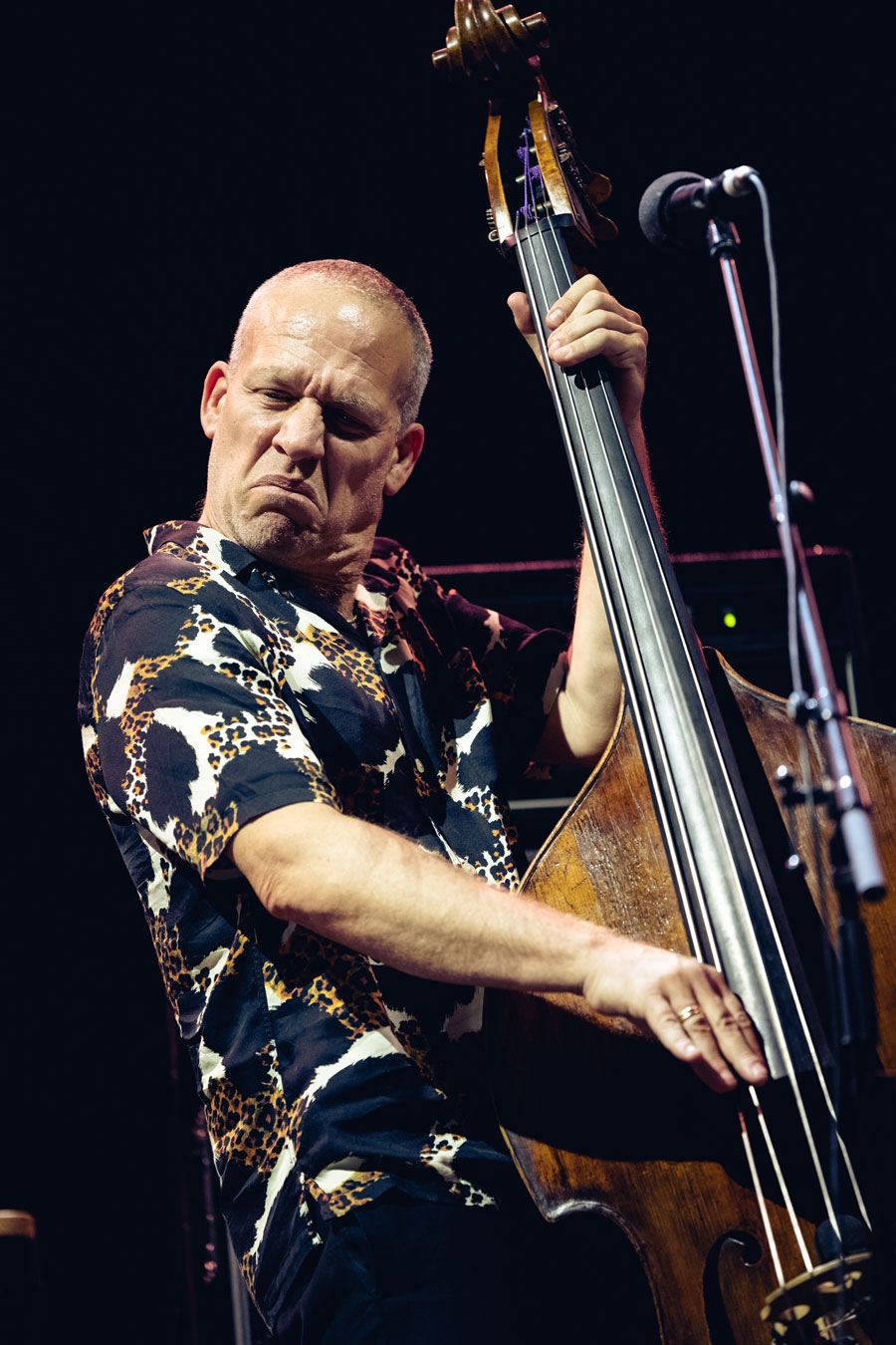 Avishai Cohen - Iroko Noches del Botanico - Foto Darío Bravo